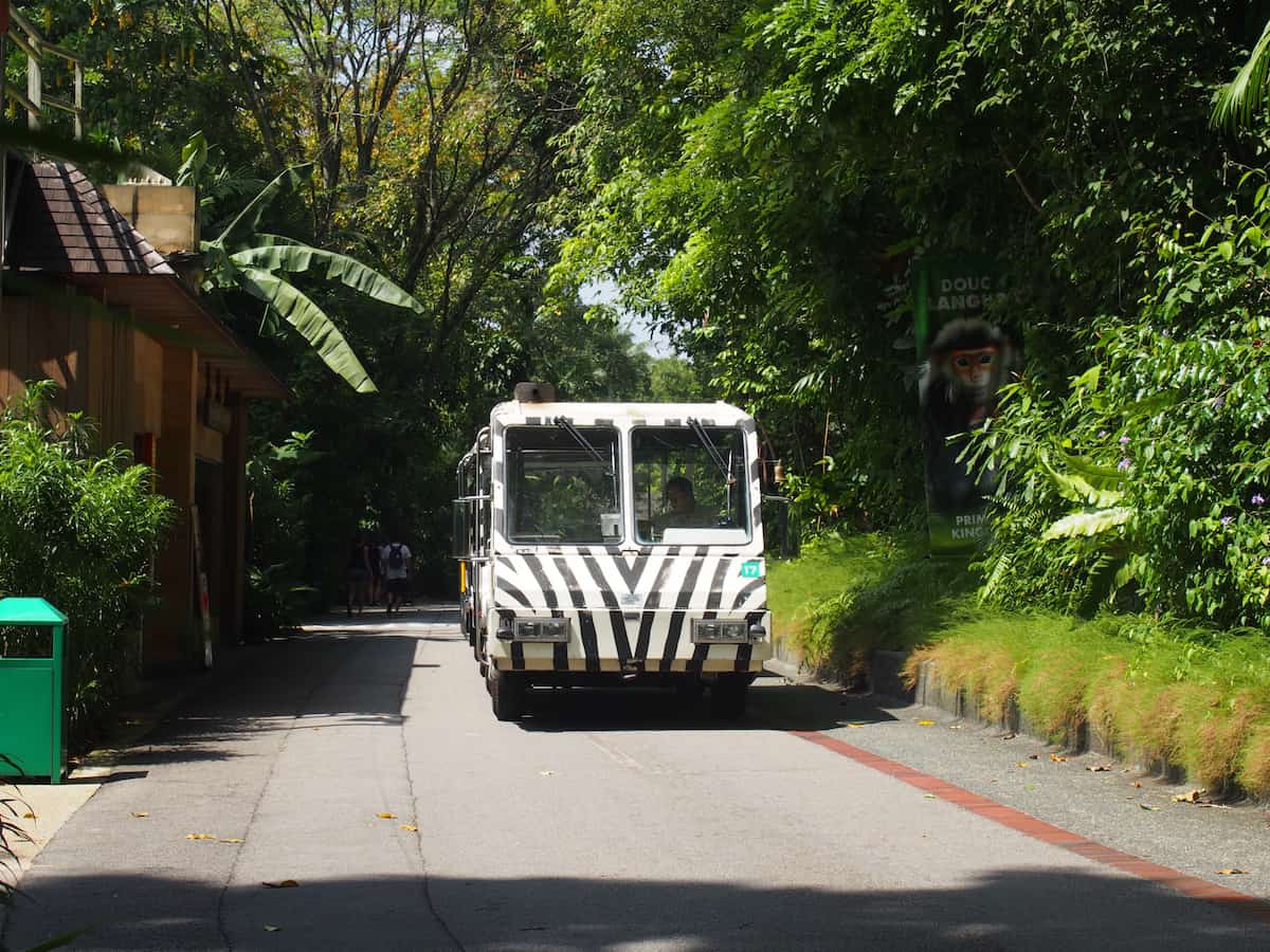 Singapore Zoo tram