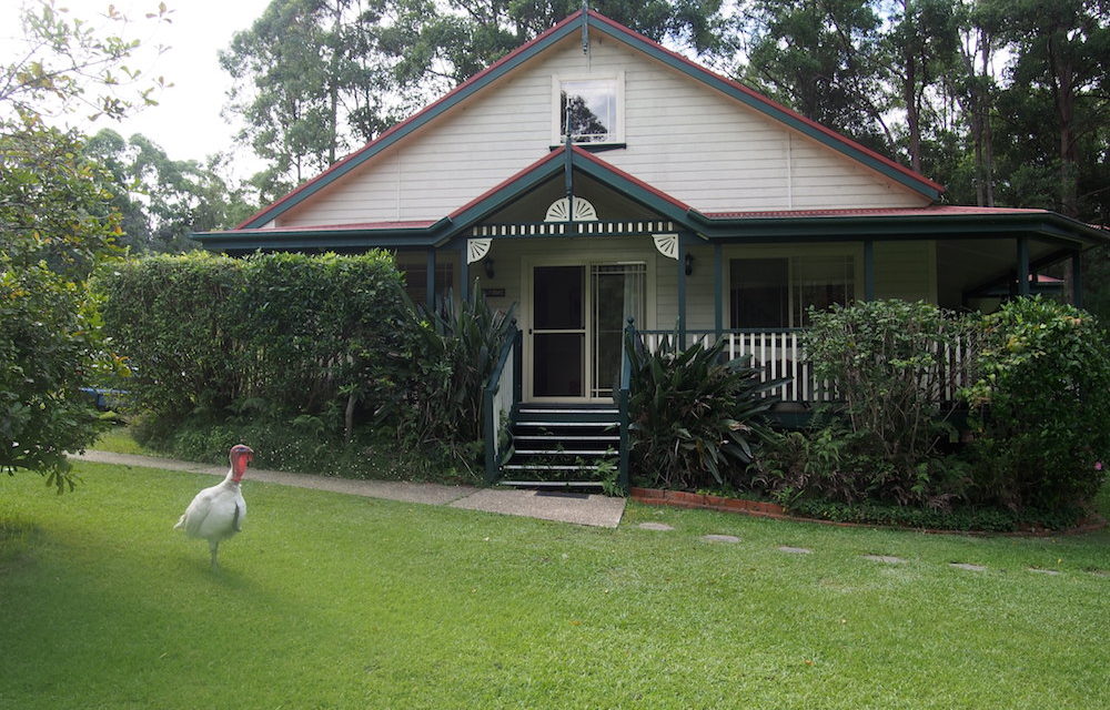 Hotel Review: Telegraph Retreat in Port Macquarie